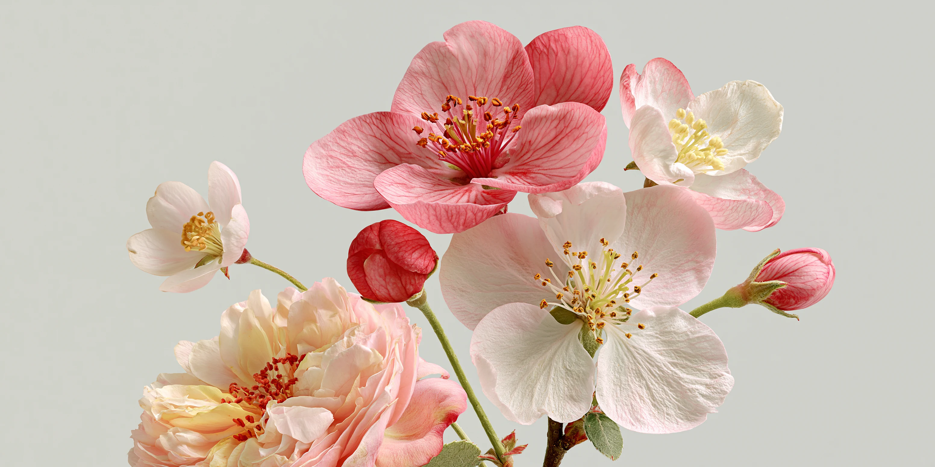 Pink, white and peach blossoms with green stems.